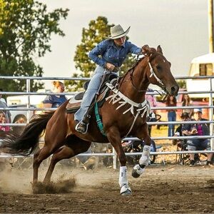 Meet your Posher, Ava